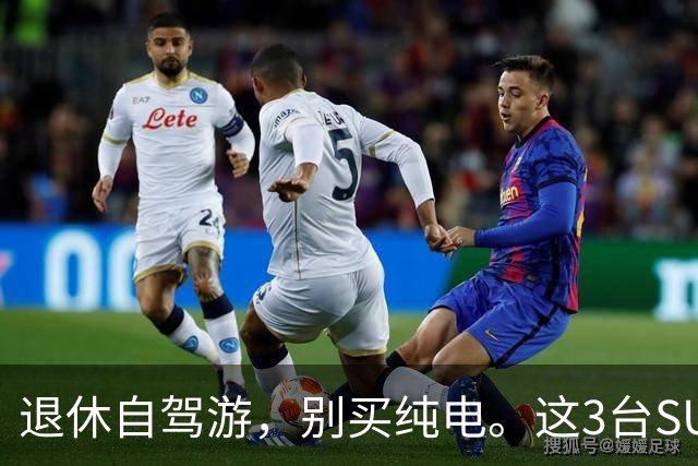 退休自驾游，别买纯电。这3台SUV，底盘稳、后排能放平