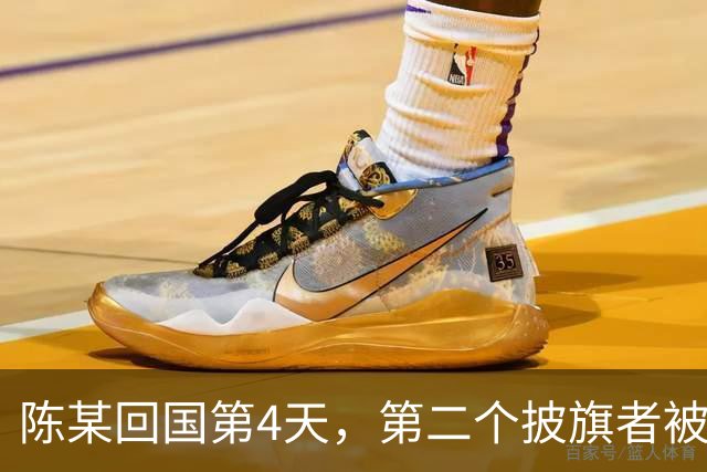 陈某回国第4天，第二个披旗者被揪了出来，现形后想销号跑路