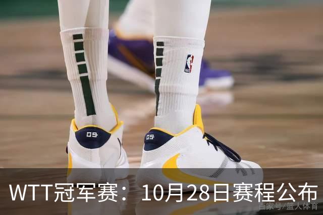 WTT冠军赛：10月28日赛程公布！国乒5大主力首秀，王曼昱等人登场